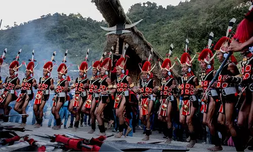 ഹോണ്‍ബില്‍ ഫെസ്റ്റിവല്‍, ഹോണ്‍ബില്‍ ഫെസ്റ്റിവെല്‍