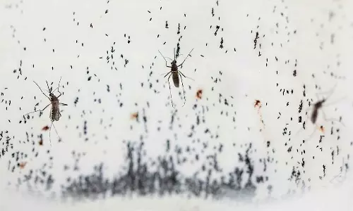 ഡെങ്കിപ്പനിക്കെതിരെ മുന്നറിയിപ്പുമായി ഖത്തർ ആരോഗ്യമന്ത്രാലയം