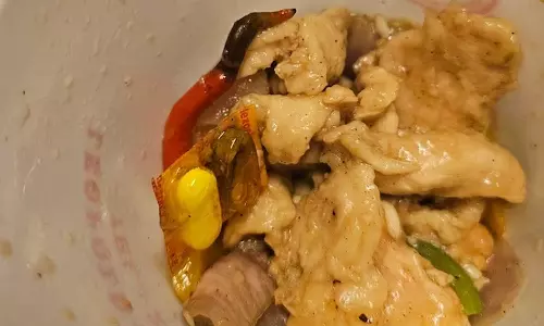 സ്വിഗ്ഗിയിൽ ഓർഡർ ചെയ്ത ഭക്ഷണത്തിൽ പാതിവെന്ത ഗുളിക