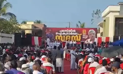 solidarity with Palastine