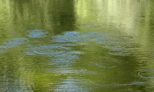 ഏഴ് വയസുകാരൻ കുളത്തിൽ മുങ്ങിമരിച്ചു