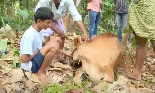 Jayaram help for child farmers