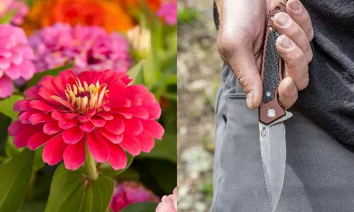 Man Chops Off Womans Nose After Her Children Pluck Flowers From His Garden Man Chops Off Womans Nose After Her Children Pluck Flowers From His Garden