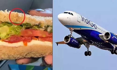 Unsafe Food in IndiGo,Show Cause Notice To IndiGo,Worm In Sandwich,IndiGo food,IndiGo Sandwich,ഇന്‍ഡിഗോ സാന്‍ഡ്‍വിച്ച്,ഇന്‍ഡിഗോ ഭക്ഷണം