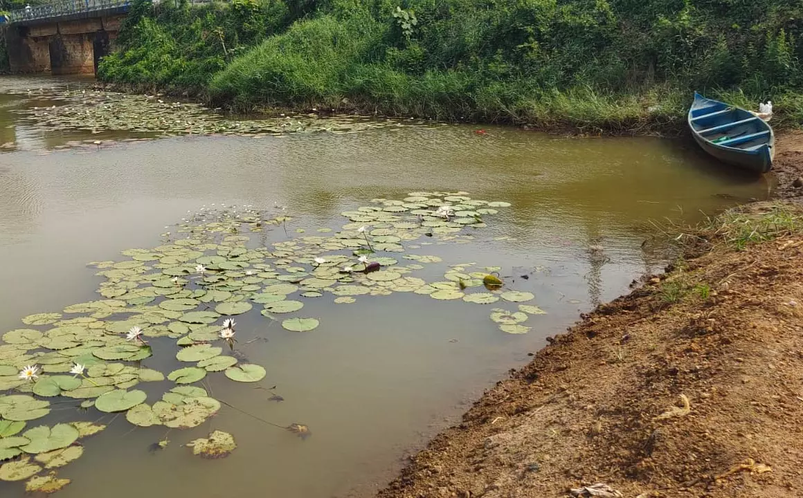 ചെറുവള്ളിപ്പുഴയും കടത്തുതോണിയും പിന്നെ പെങ്ങാമുക്ക് ഹൈസ്‌കൂളും