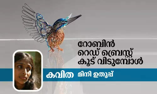 റോബിന്‍ റെഡ് ബ്രെസ്റ്റ് കൂട് വിടുമ്പോള്‍
