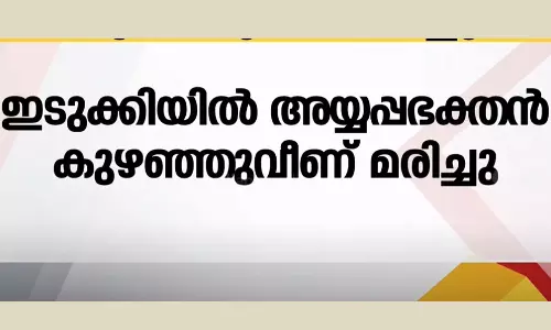 idukki death,Ayyappa devotee, sabarimala,sabarimala temple,sabarimala pilgrims,sabarimala news,sabarimala rush,sabarimalai,latest malayalam news,അയ്യപ്പഭക്തന്‍ മരിച്ചു,പുല്ലുമേട്,ശബരിമല