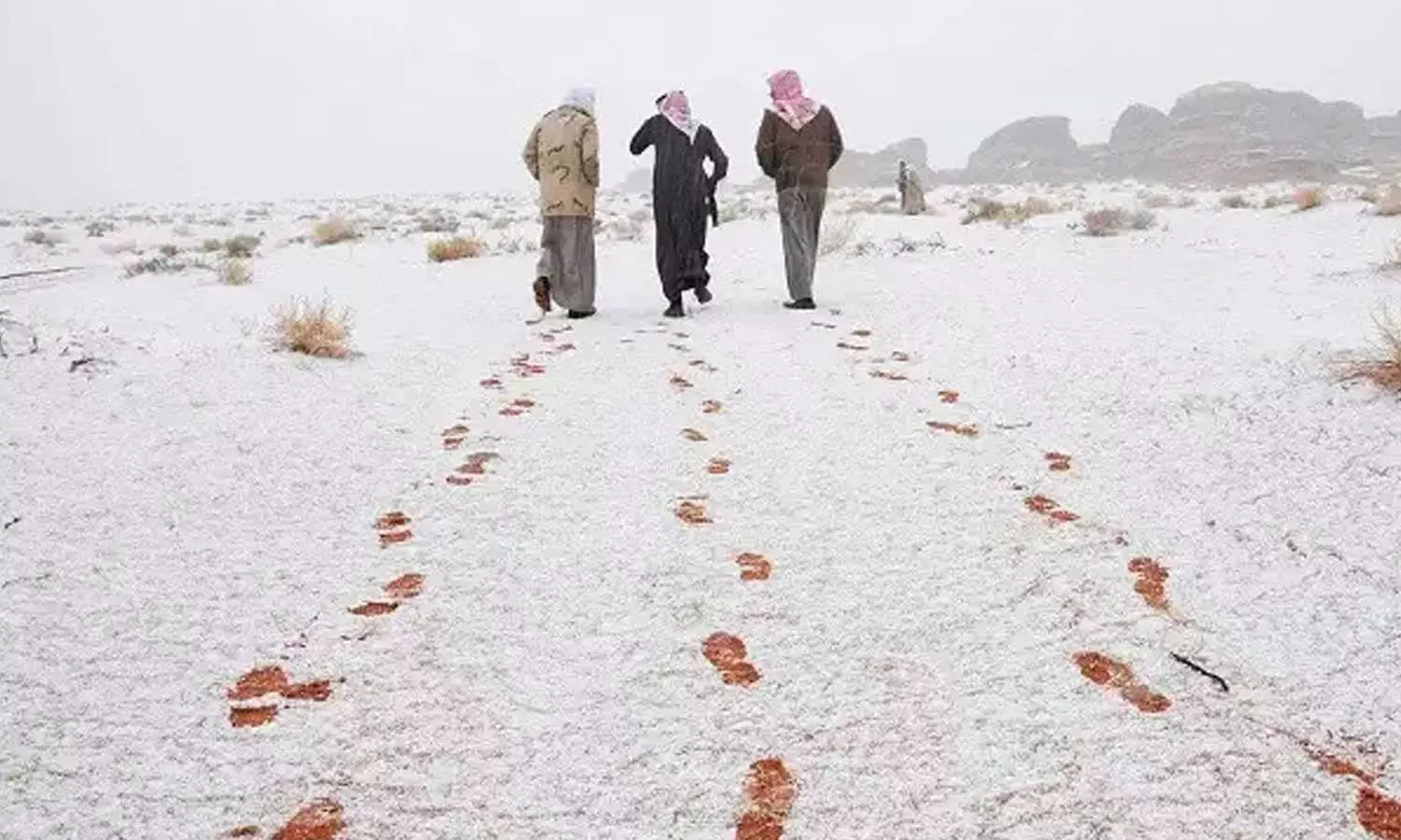 Saudi Arabia weather updates, Saudi Arabia winter updates, Saudi Arabia weather updates, Saudi Arabia winter updates,