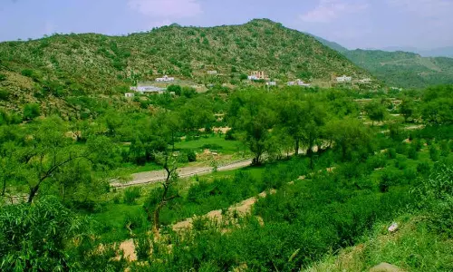 huge increase in the area of ​​the green zone in the Saudi Madeena province