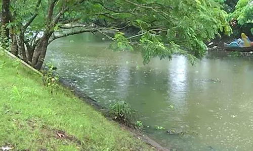 Unidentified body found in Connolly Canal