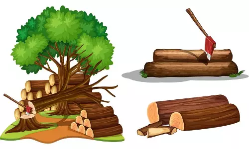 Saudi Environmental Security Special Forces Apprehend Violators for Illegal Tree Cutting and Charcoal Production