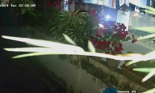 സ്കൂട്ടറിൽ കറങ്ങി നടന്ന്  കൊല്ലത്ത് ചെടി മോഷണം - വീഡിയോ