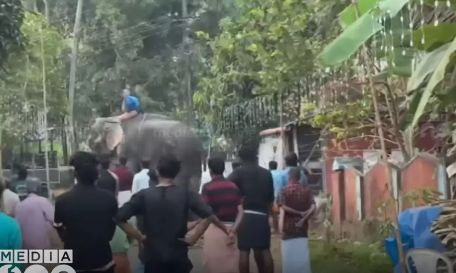 elephant, temple festival,thrissur,latest malayalam news,തൃശ്ശൂരില്‍ ആനയിടഞ്ഞു,