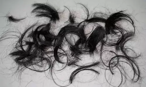 Principal granted anticipatory bail in case of cutting Dalit students hair