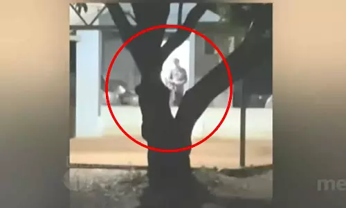 Suspension for teachers who bartered school childrens rice Suspension for teachers who bartered school childrens rice