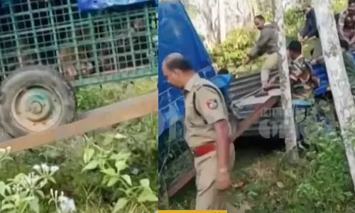 വയനാട് കൊളഗപ്പാറയിൽ വളർത്തുമൃഗങ്ങളെ കൊന്ന കടുവ കൂട്ടിൽ