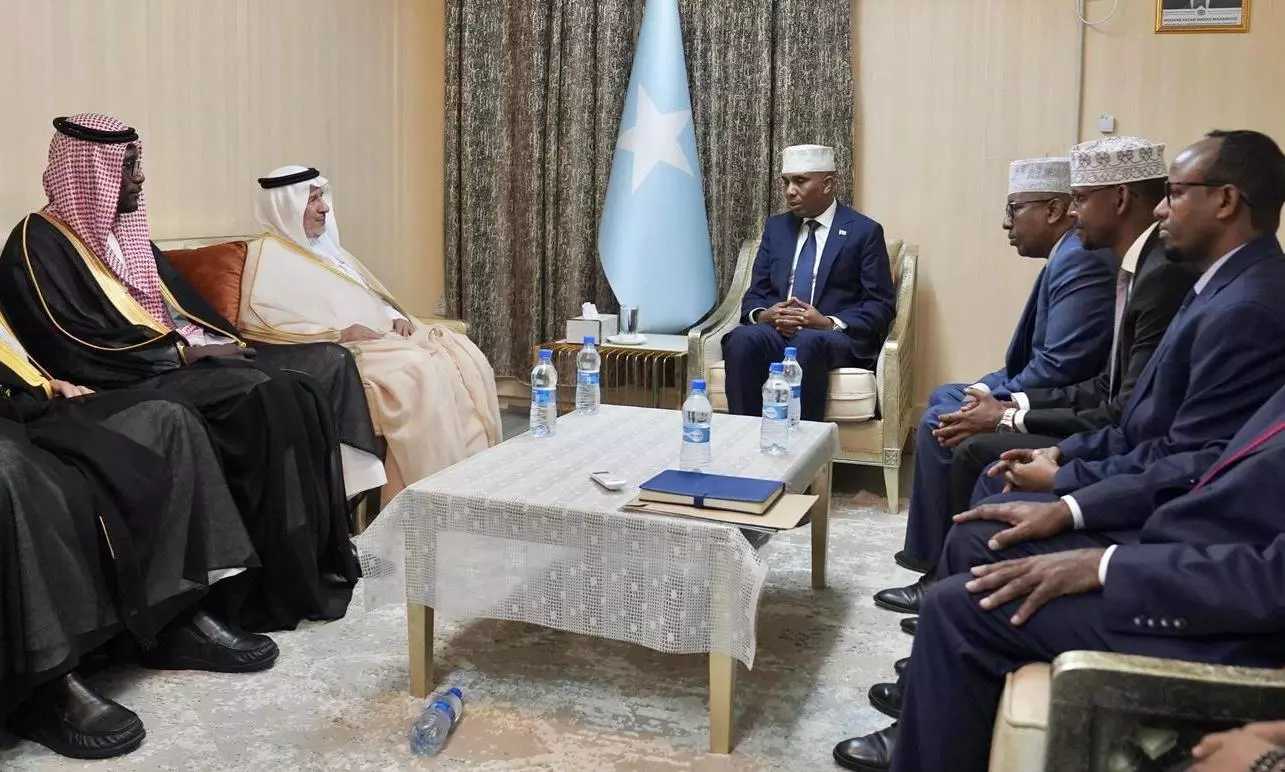 Somalia Prime Minister meets with the General Supervisor of the King Salman Relief Center