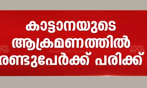 Wayanad, wild elephant attack,latest malayalam news,വയനാട്,കാട്ടാന ആക്രമണം,