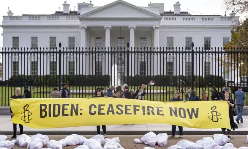 Palestine Solidarity: US Government Employees with Hunger Strike