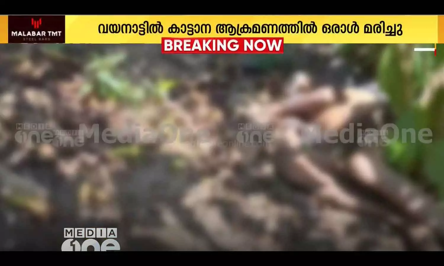 Elephant attack one man died wayanad Elephant attack one man died wayanad