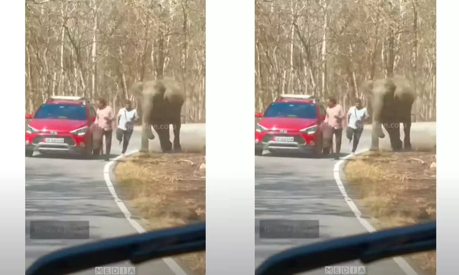 Elephant attack Muthanga Elephant attack Muthanga