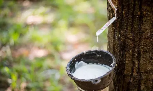 Rubber- Kerala Budget 2024