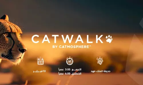 Madinah Municipality Holds Catwalk to Safeguard Endangered Wild Cats in Celebration of World Arabian Tiger Day