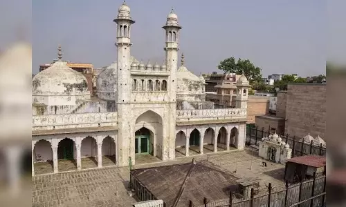 Allahabad High Court