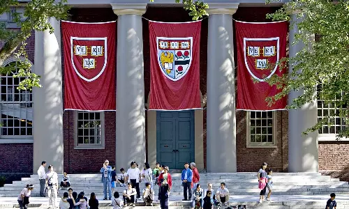 harvard university