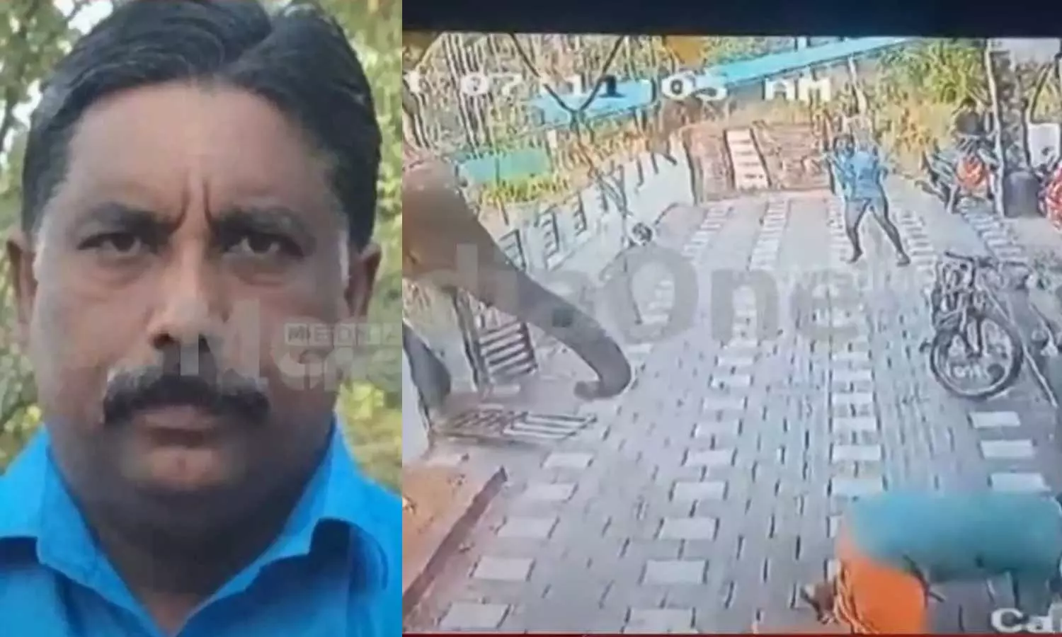 ആക്രമണം നടത്തിയത് റേഡിയോ കോളർ ഘടിപ്പിച്ച കാട്ടാന; നിരോധനാജ്ഞ പ്രഖ്യാപിച്ചു ആക്രമണം നടത്തിയത് റേഡിയോ കോളർ ഘടിപ്പിച്ച കാട്ടാന; നിരോധനാജ്ഞ പ്രഖ്യാപിച്ചു