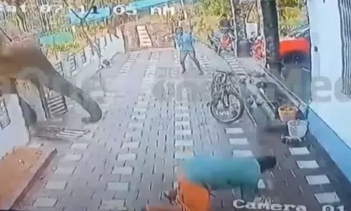 Wild elephant in Wayanad Payyampally escapes to Kuruvadweep, Payyampally aji death, Wayanad wild elephant attack