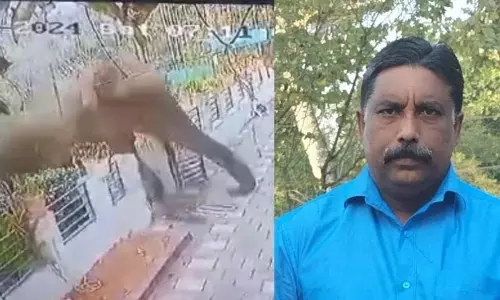 മാനന്തവാടി കാട്ടാന ആക്രമണം; 10 ലക്ഷം നഷ്ടപരിഹാരം ആദ്യം, കുടുംബത്തിൽ ഒരാൾക്ക് സ്ഥിരംജോലി, ചർച്ചയിൽ ധാരണ