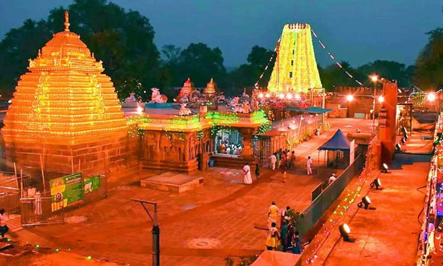 Andhra Pradeshs Srisailam temple orders probe after devotee finds bone pieces in prasadam, Andhra Pradeshs Srisailam temple probe in bone in prasadam Andhra Pradeshs Srisailam temple orders probe after devotee finds bone pieces in prasadam, Andhra Pradeshs Srisailam temple probe in bone in prasadam