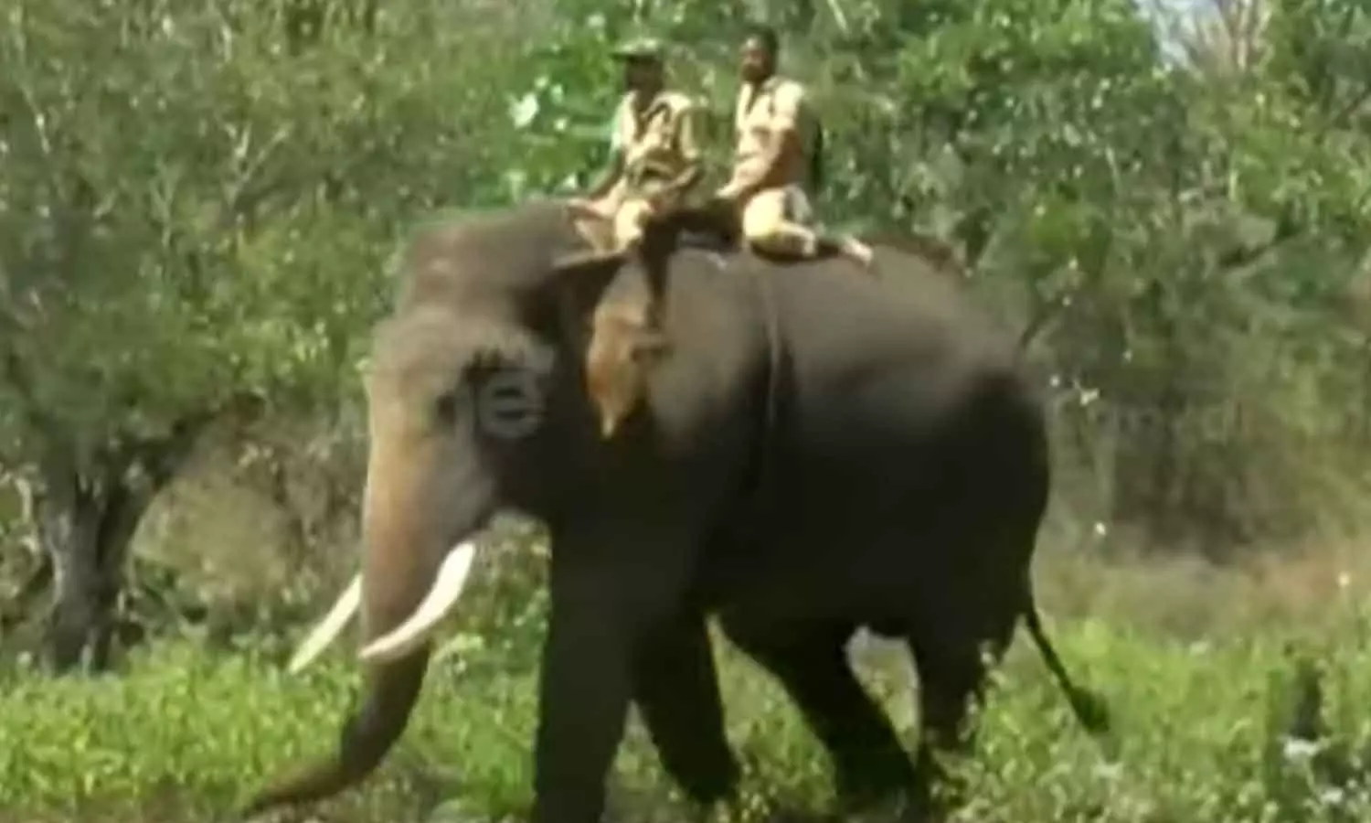 school holyday tomorrow