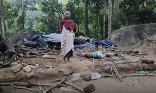 എറണാകുളത്ത് കാട്ടാനക്കൂട്ടം വീട് തകർത്തു; വൈദ്യുതിവേലി സ്ഥാപിക്കണമെന്ന് നാട്ടുകാർ