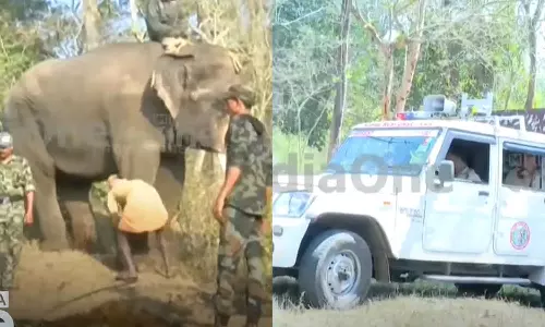 Wild Elephant Attack in Wayanad