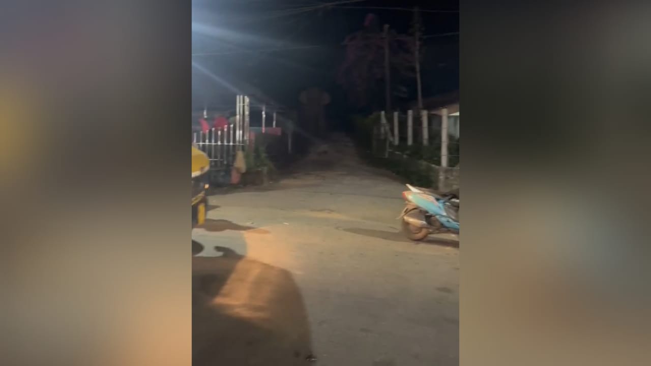 മൂന്നാർ ടൗണിൽ കാട്ടാനയിറങ്ങി; കാറിന് കേടുപാട് വരുത്തി