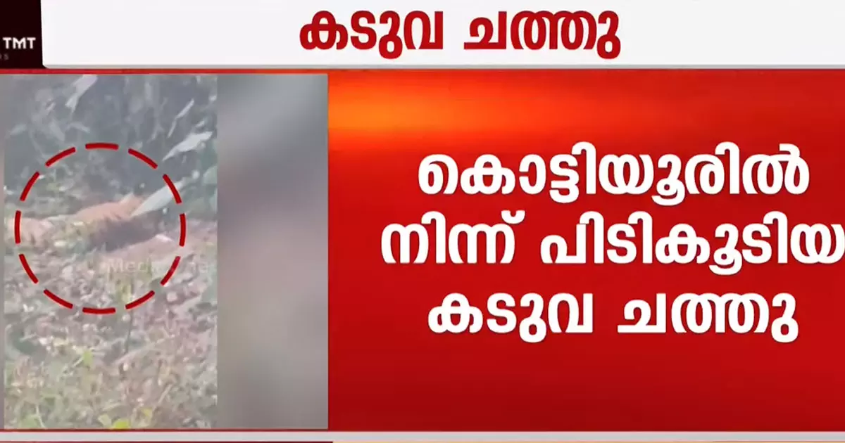 A tiger caught in Kannur has died