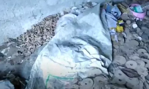 fire,palode,accident