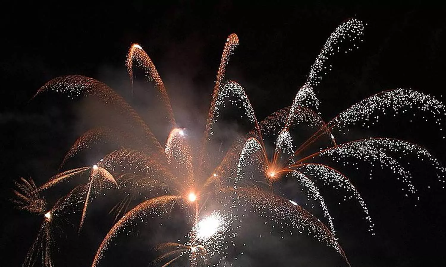 മരട്  കൊട്ടാരം ഭഗവതി ക്ഷേത്രത്തിലെ വെടിക്കെട്ടിന് അനുമതി നിരസിച്ച് കലക്ടർ