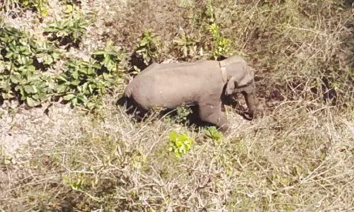 Mission to capture Belur Magna on day 6