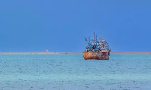 Al-Rais: A Rising Star on the Red Sea, Blending Tranquility and Tourism Potential