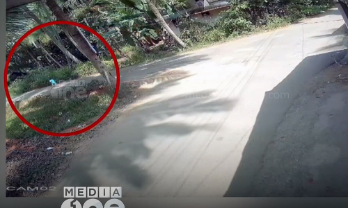 daycare,Kerala Daycare,Suspension,Toddler,latest malayalam news,ഡേകെയര്‍,രണ്ടുവയസുകാരന്‍ ഇറങ്ങിയോടി,കാക്കാമൂലഡേകെയര്‍,