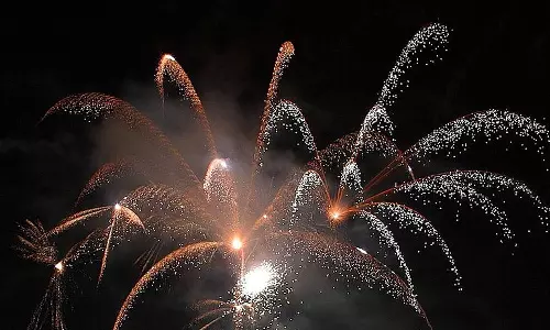 മരട് കൊട്ടാരം ഭഗവതി ക്ഷേത്രത്തിലെ വെടിക്കെട്ടിന് അനുമതി നിരസിച്ച് കലക്ടർ മരട് കൊട്ടാരം ഭഗവതി ക്ഷേത്രത്തിലെ വെടിക്കെട്ടിന് അനുമതി നിരസിച്ച് കലക്ടർ