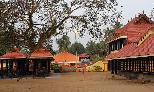 അനുമതിയില്ലാതെ വെടിക്കെട്ട്; ഉത്സവ കമ്മിറ്റി, ദേവസ്വം ഭാരവാഹികൾക്കെതിരെ കേസ്