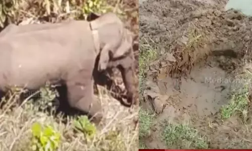 Belur Magna Belur Magna