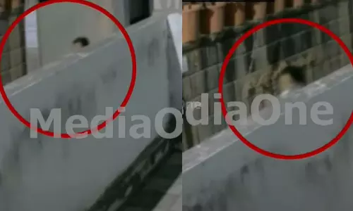 petta girl missing case, petta girl missing case,