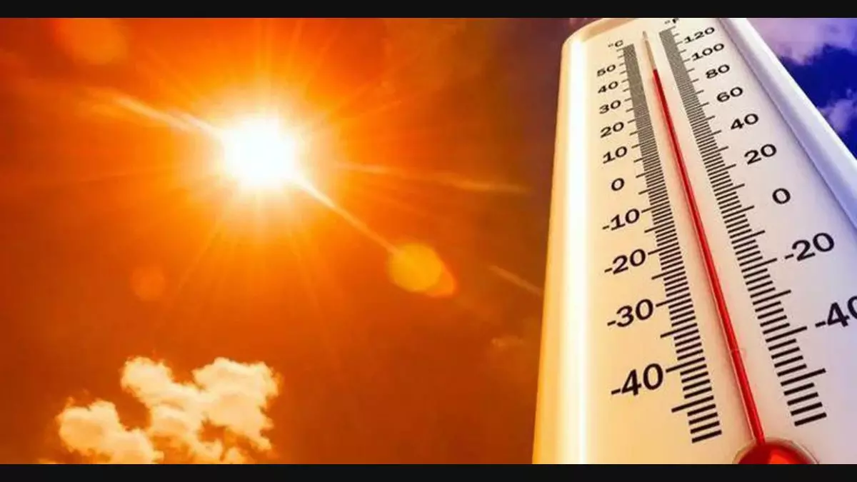 palakkad heat palakkad heat