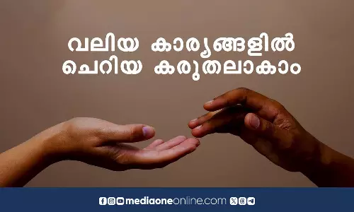 വലിയ കാര്യങ്ങളിൽ ചെറിയ ശ്രദ്ധയാകാം