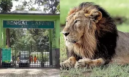 സിംഹങ്ങള്‍ക്ക് അക്ബർ, സീത എന്ന് പേരിട്ടത് ശരിയായില്ല, പേര് മാറ്റണം; വിമര്‍ശനവുമായി കല്‍ക്കട്ട ഹൈക്കോടതി